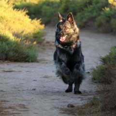 aIMG_0805
