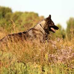aIMG_0843