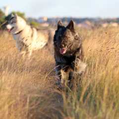 aIMG_0854