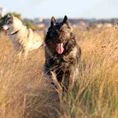 aIMG_0855