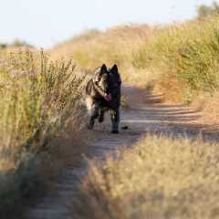 aIMG_0872