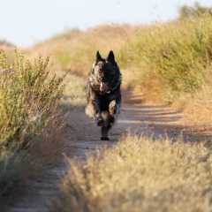 aIMG_0874