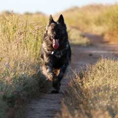 aIMG_0882