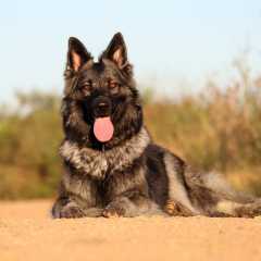 aIMG_0912