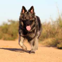 aIMG_0946