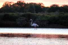 aIMG_0504