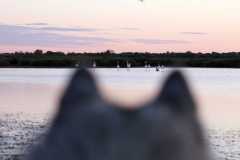 aIMG_0543