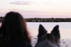 aIMG_0629