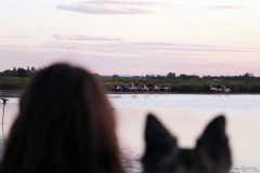 aIMG_0635