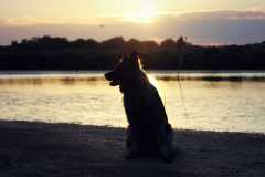 aIMG_0653