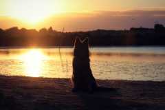 aIMG_0658