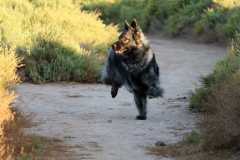aIMG_0804