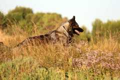 aIMG_0843
