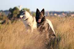 aIMG_0850