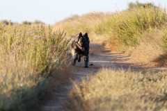 aIMG_0872