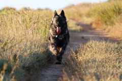 aIMG_0882