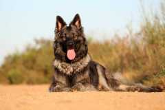 aIMG_0912