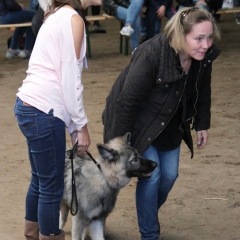 aIMG_0037