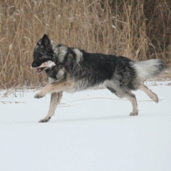 aIMG_0099