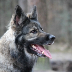 aIMG_6284