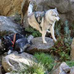 aIMG_1022