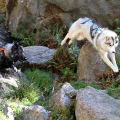 aIMG_1023