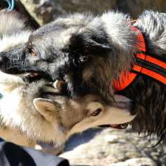 aIMG_1039