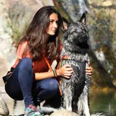aIMG_1142