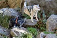 aIMG_1022