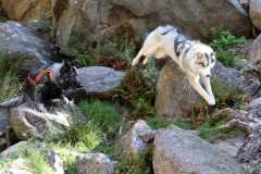aIMG_1023