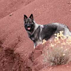 aIMG_1447