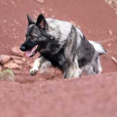 aIMG_1466