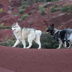 aIMG_1601