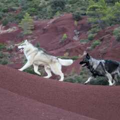 aIMG_1603