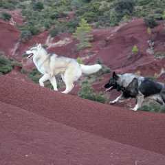 aIMG_1604
