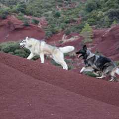 aIMG_1605