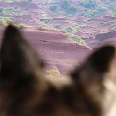 aIMG_1724