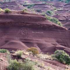 aIMG_1729