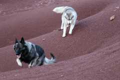 aIMG_1595