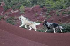aIMG_1603