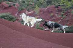 aIMG_1604