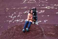 aIMG_1644