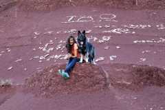 aIMG_1648