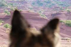 aIMG_1724