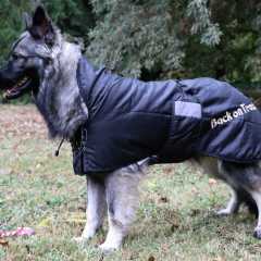 aIMG_1621