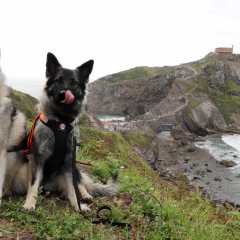 aIMG_0184
