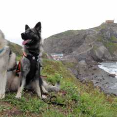 aIMG_0189