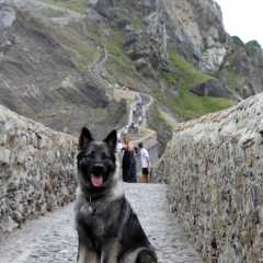 aIMG_0295
