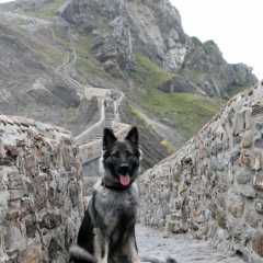 aIMG_0390