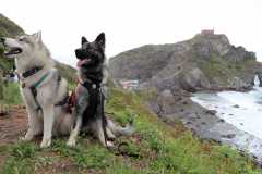 aIMG_0189